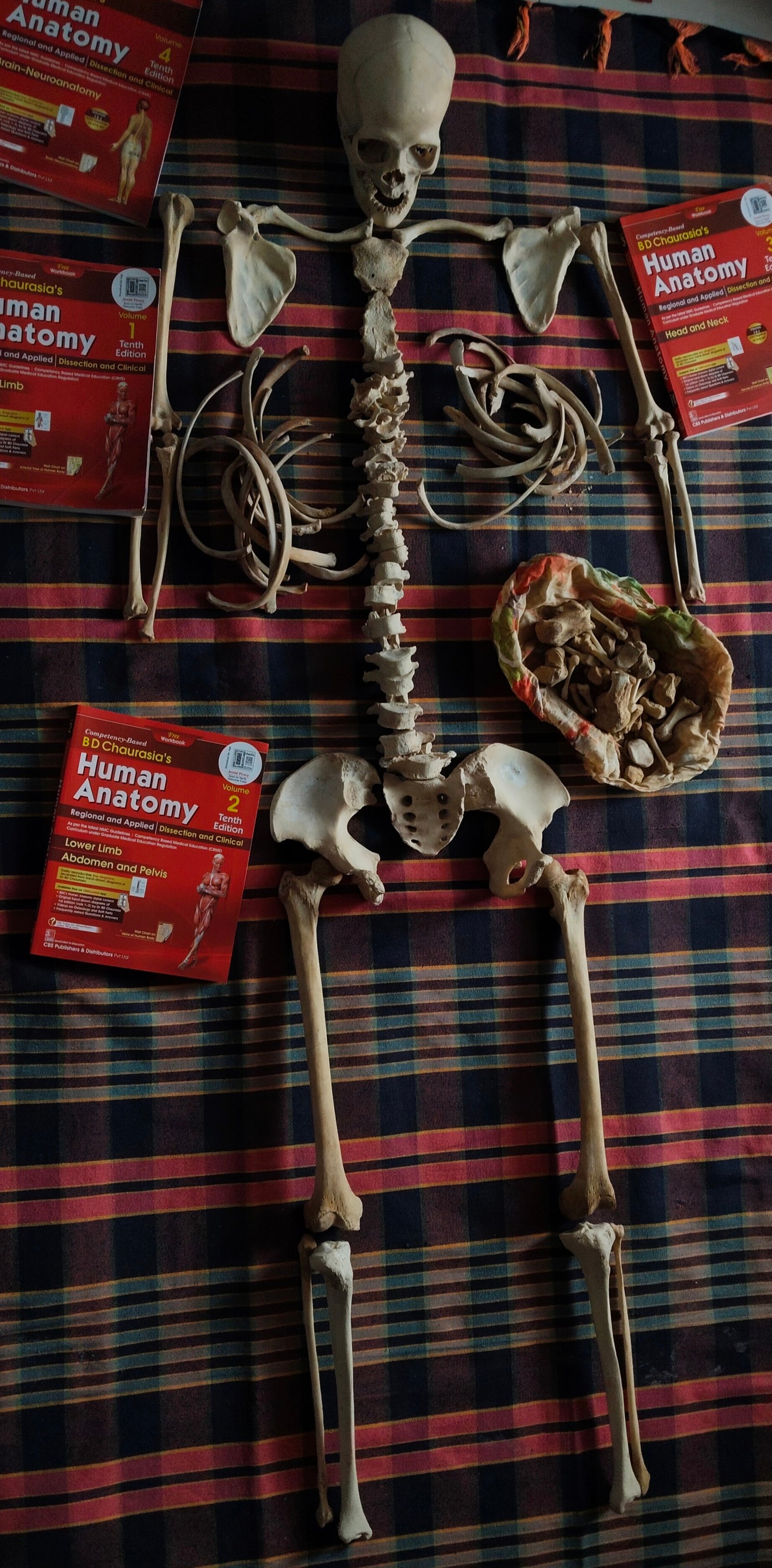 BONESET for Honours